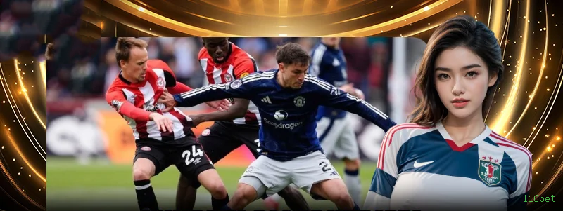 APK Android da 116bet para download